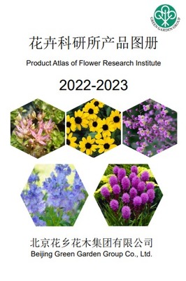 免費制作翻頁電子書、電子畫冊和電子雜志的高效工具推薦